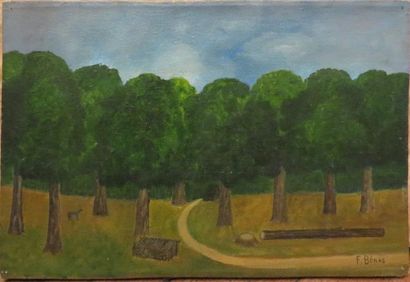 BENAS François 


Forêt

Huile sur toile...