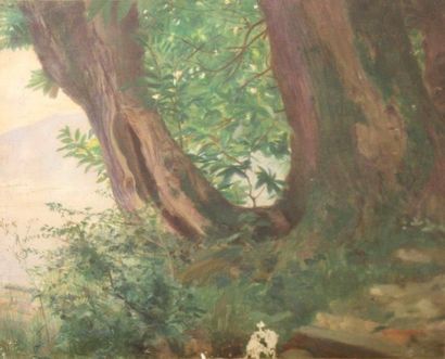 COURTOIS Gustave (1853-1924)


Tronc d'arbre

Huile...