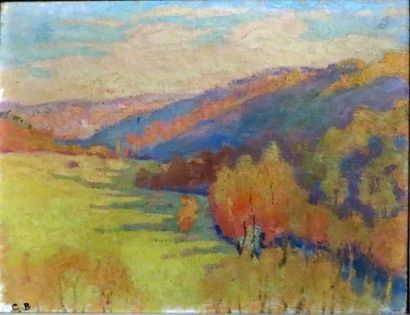 Charles BICHET ( 1863-1929)


Paysage limousin,...