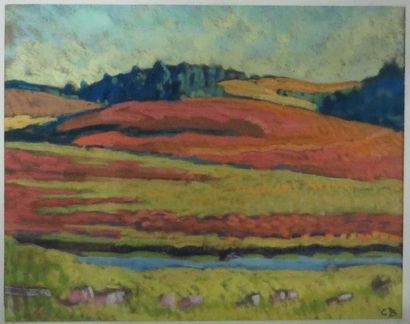 Charles BICHET ( 1863-1929)


Le Luc, Bugeat,...