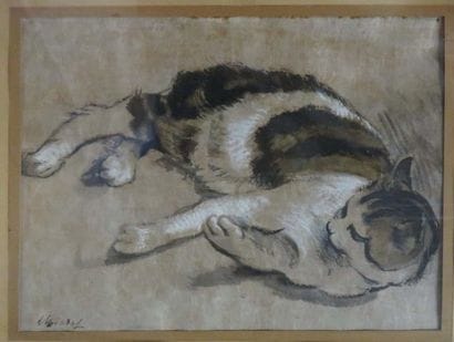 Charles BICHET ( 1863-1929)


Le Chat

Technique...