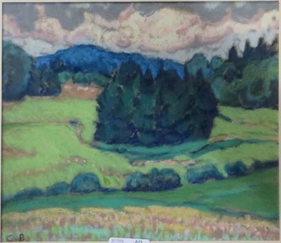 Charles BICHET ( 1863-1929)


Lres Lèzes

Pastel...