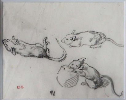 Charles BICHET ( 1863-1929)


Etude de souris

Fusain...