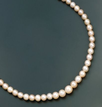 COLLIER de quatre-vingt quatre perles fines...