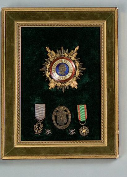 FRANCE PLAQUE DE SÉNATEUR. Argent, vermeil,...