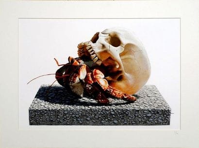 JOSH KEYES ( Américain, né en 1969)
Migratory...
