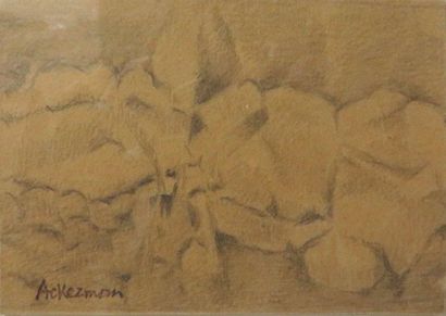 ACKERMAN Paul (1908-1981)


Silhouette en...