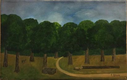 BENAS François 


Forêt

Huile sur toile...