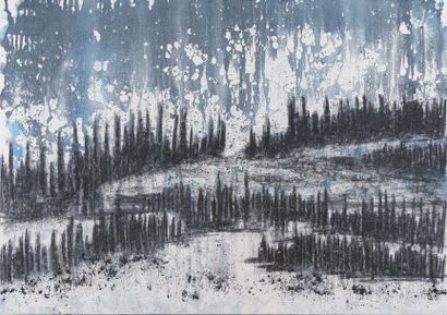 Fleur COZIC (née en 1981)

10-11-22, 2018

Encre...
