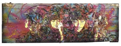 C215 (Français, né en 1973)

Portrait de...