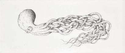 KRAKEN (Français, né en 1980)
Sans titre,...