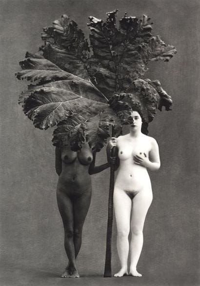 Flor GARDUNO (Mexican, born in 1957)
Flor...