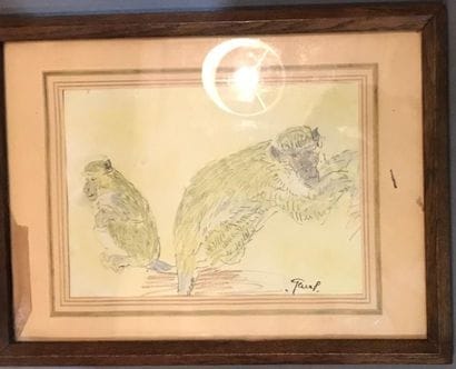 Etude de singes. Encre et crayon, porte une...