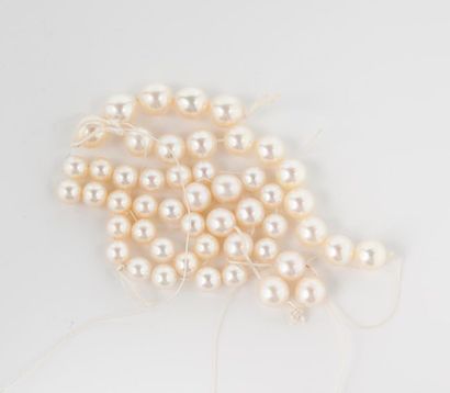 Lot de perles de culture