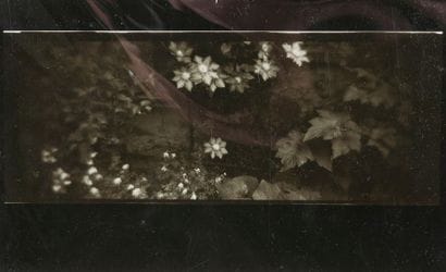 Josef SUDEK (1896-1976) Photographe tchèque.
Le...
