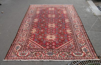 Ancien tapis MAHAL IRAN
325 x 225 cm.