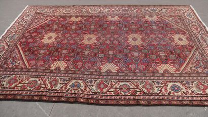 Ancien tapis MAHAL IRAN
325 x 225 cm.