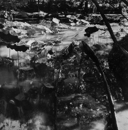 Werner BISCHOFF (1916-1954) Photographe suisse,...