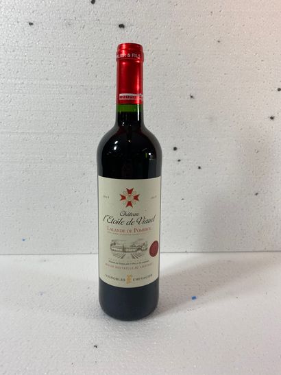 6 Chateau de VIAUD L’Etoile 2019 en Lalande...