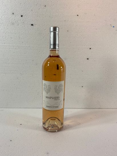 6 château MAPLIERS 2018 Cuvée Préférences...