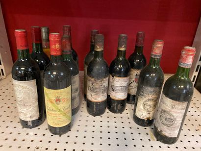 Bordeaux lot de 12 bouteillles dont Le Berger...