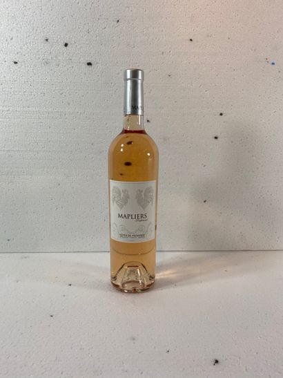6 château MAPLIERS 2019 Cuvée Préférences...
