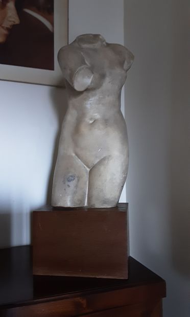 Vénus en plâtre

H. 58 cm.