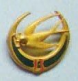 INFANTERIE D'AFRIQUE - Insigne du «13ème...