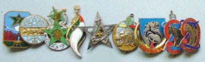 INFANTERIE D'AFRIQUE - Lot de 9 insignes:...
