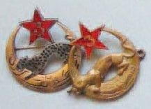 SPAHIS - Lot de 2 insignes du «3ème RSA»:...