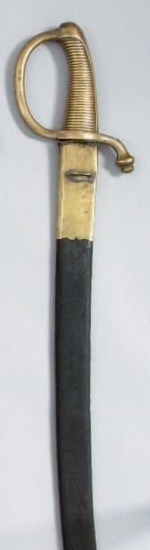 SABRE BRIQUET MODELE AN IX, poignée en laiton...