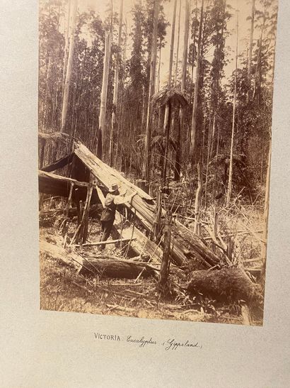 AUSTRALIE. — PHOTOGRAPHIES originales de...