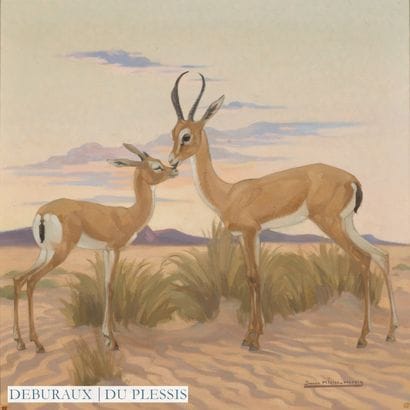 Yvonne KLEISS HERZIG (1895-1968)
Antilope...