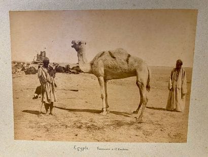 ÉGYPTE (22 pl.) et ALGÉRIE (18 pl.) — PHOTOGRAPHIES...