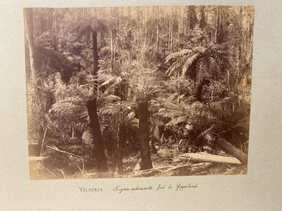 AUSTRALIE. — PHOTOGRAPHIES originales de...