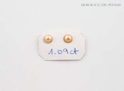 Paire de perles probablement fines de forme...