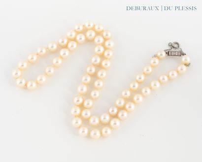 Choker necklace of cultured pearls, clasp...