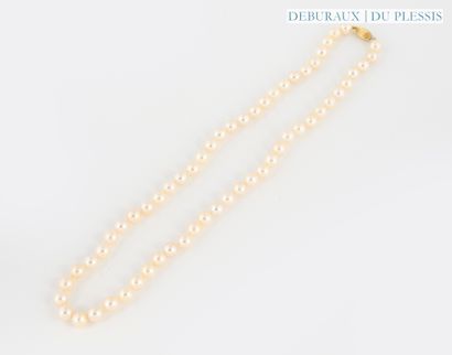 Choker necklace of cultured pearls, approx....
