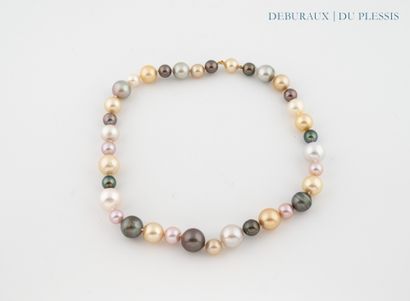 Collier de perles de culture des Mers du...