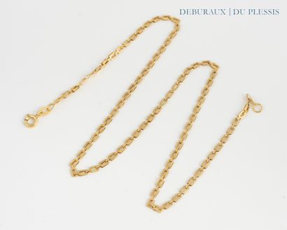 Gold 750°/°° chain with elongated forçat...