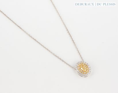 Collier en or gris 750°/°° orné d'un motif...