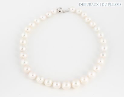 Necklace of freshwater cultured pearls, approx....