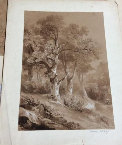 Jean-Jacques CHAMPIN (1796-1860). Chataigniers...