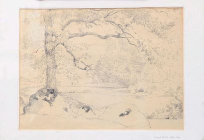 Armand POINT (1860-1932)

Paysage de campagne

Dessin...