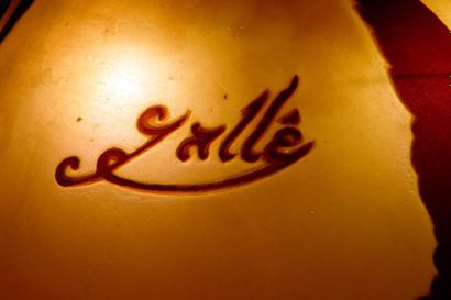 «Hirondelles»

Grande lampe en verre multicouche...