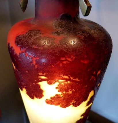 «Hirondelles»

Grande lampe en verre multicouche...