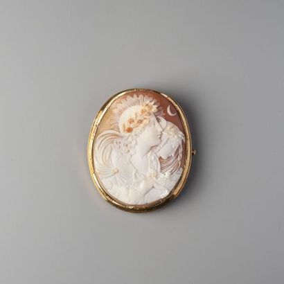 Broche en or 750 °/°° ornée d'un camée coquillage...