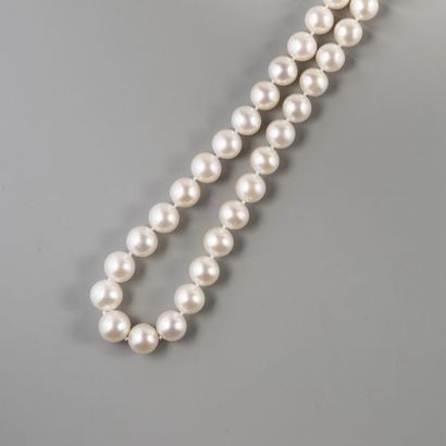 Collier choker de perles de culture d'eau...