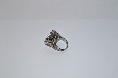 Monture de bague en or gris 750 °/°° rehaussée...