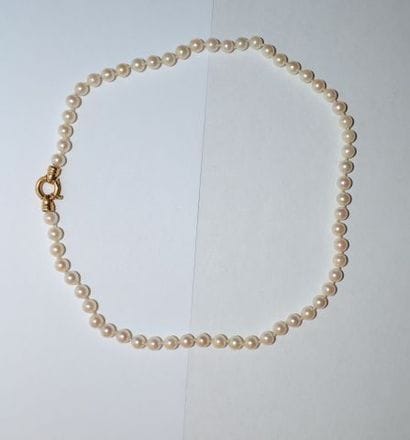 Collier choker de perles de culture orné...